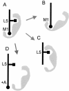 Figure 9.