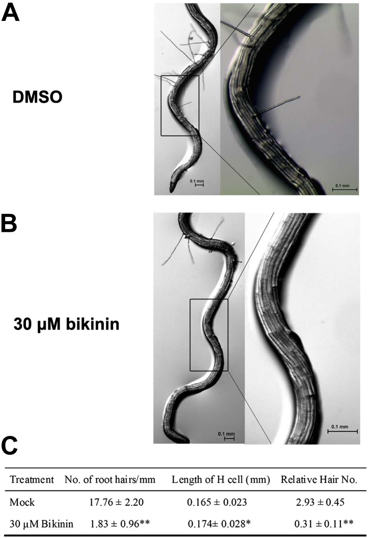 Figure 1—figure supplement 1.