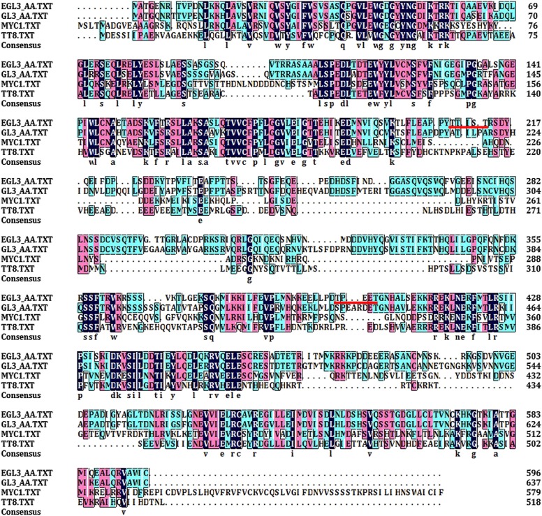 Figure 6—figure supplement 1.