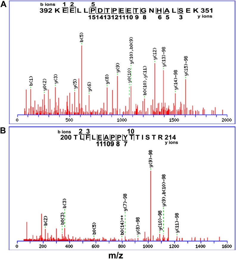 Figure 5—figure supplement 1.