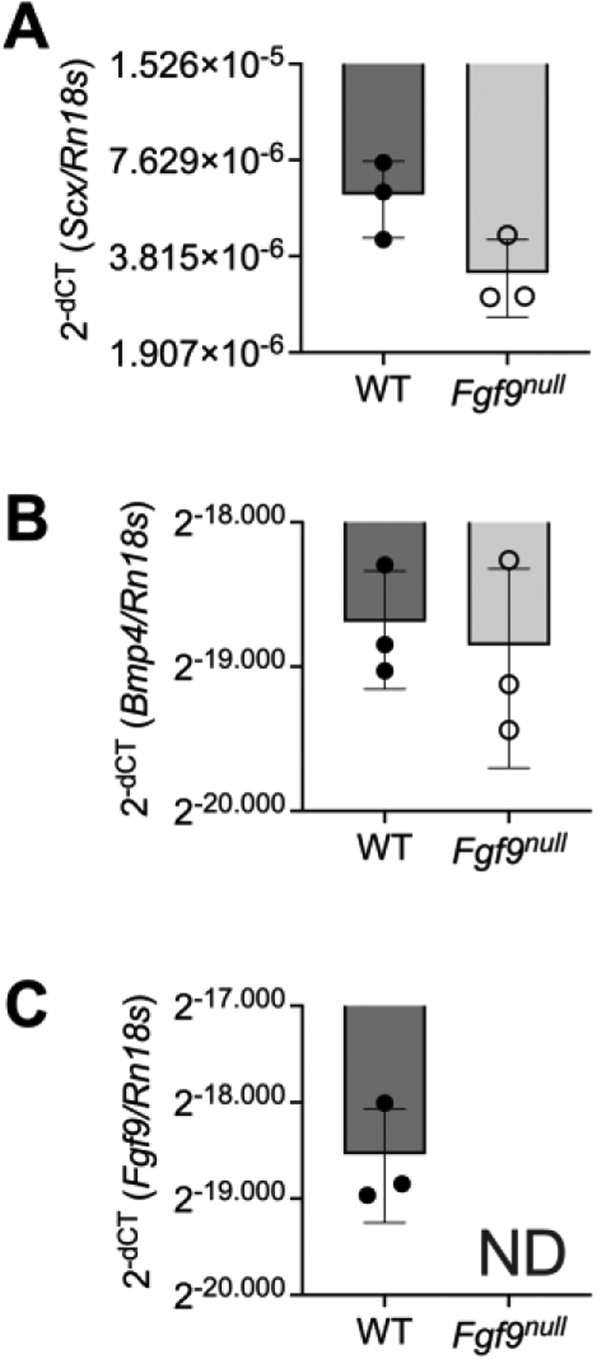 Figure 11: