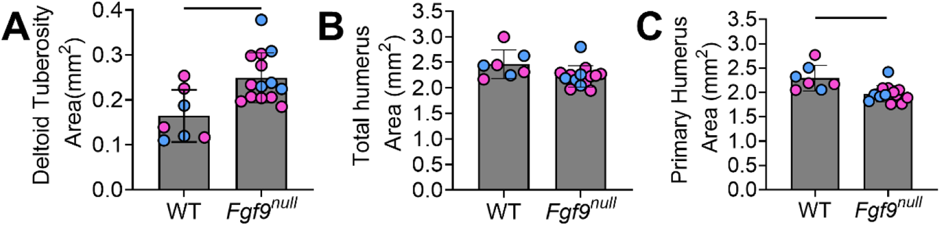 Figure 2: