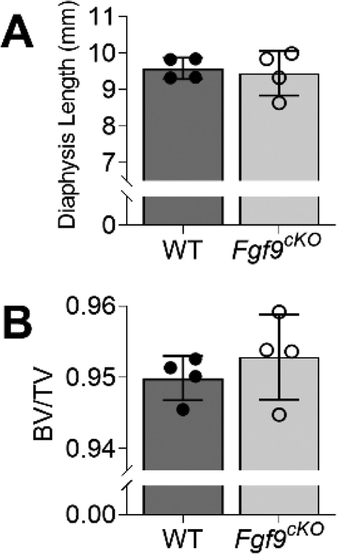 Figure 10: