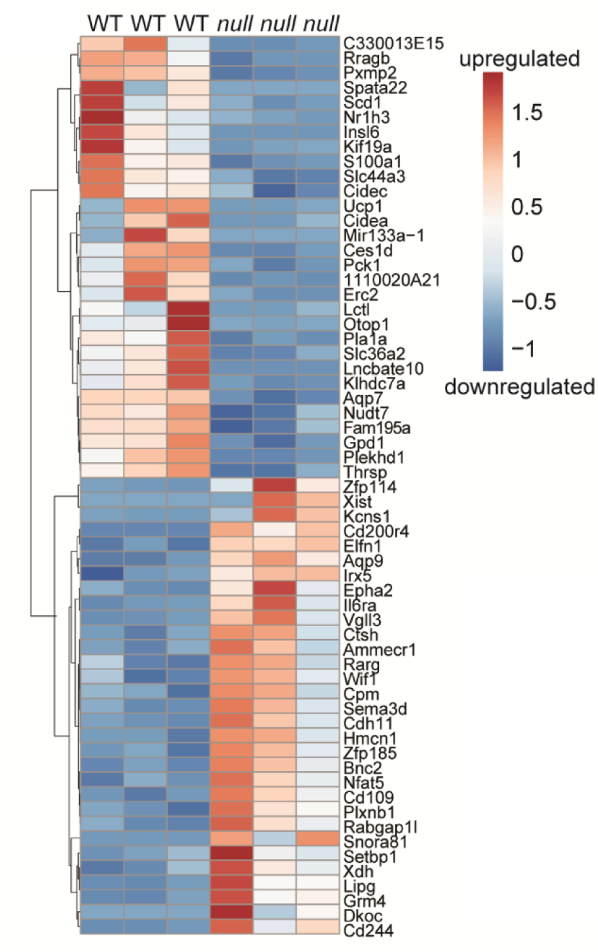 Figure 7: