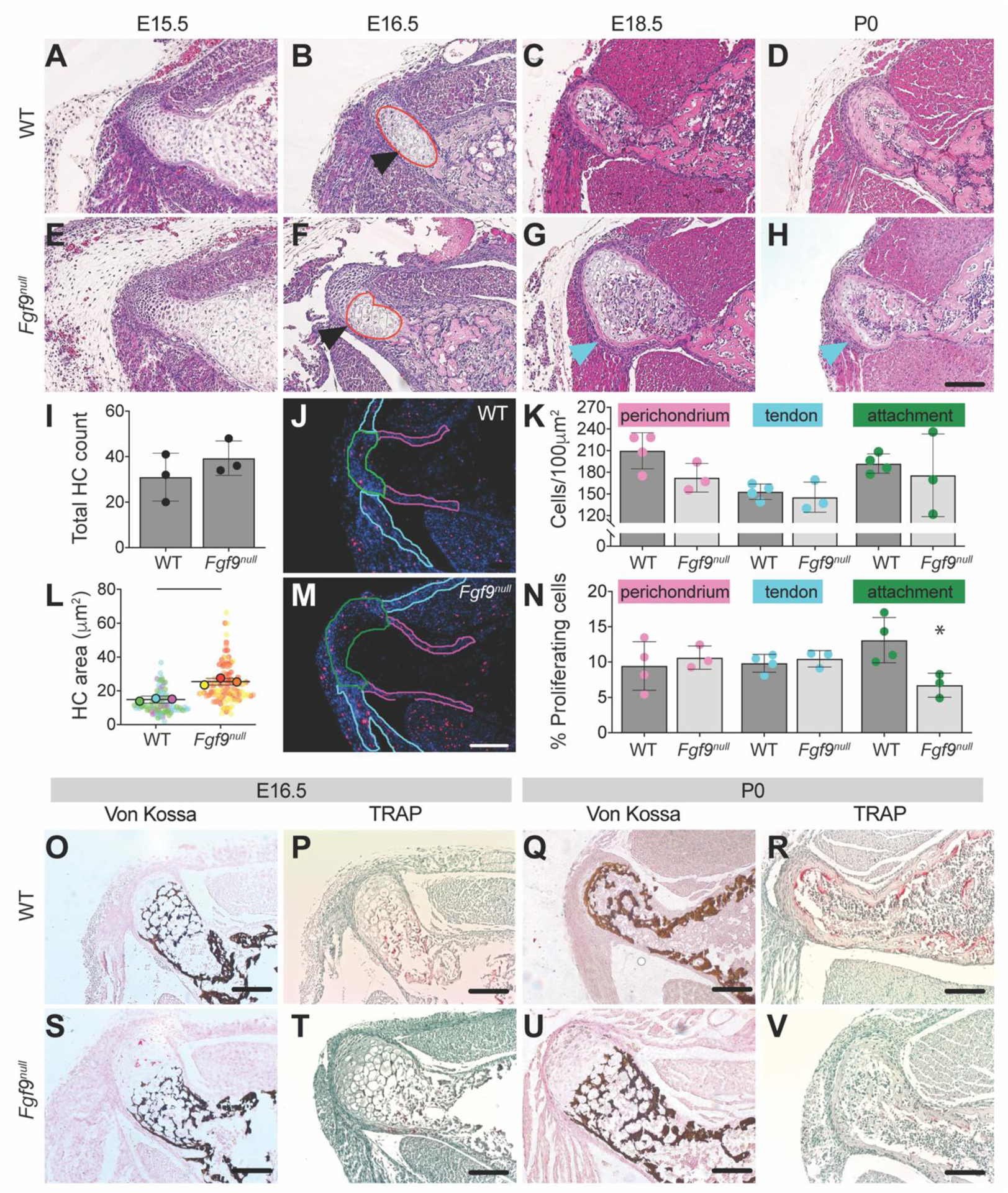 Figure 3: