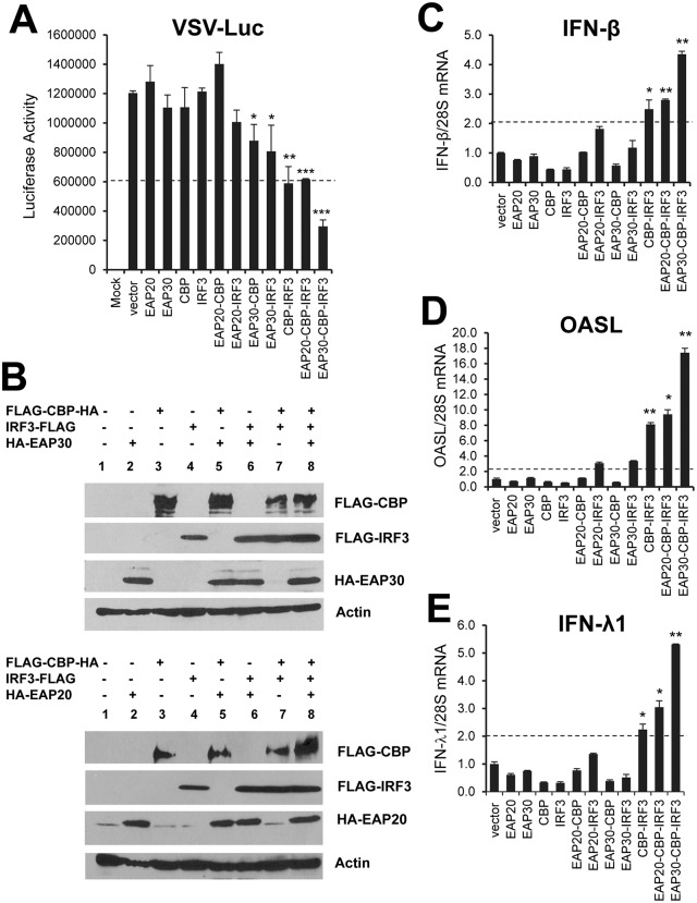 Fig 8