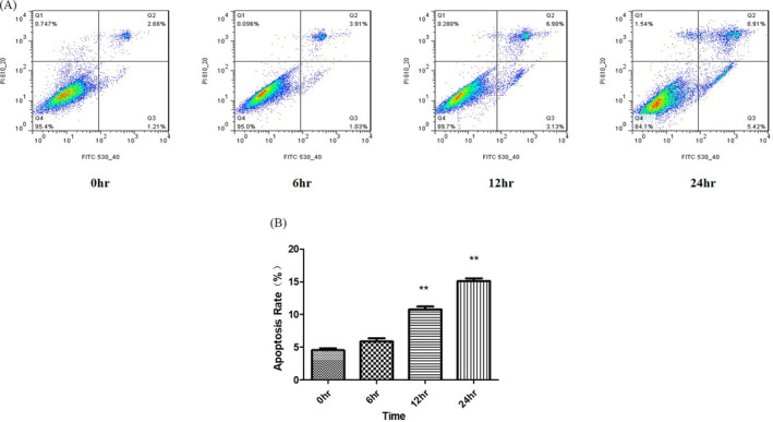 FIGURE 2