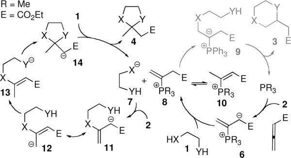 scheme1