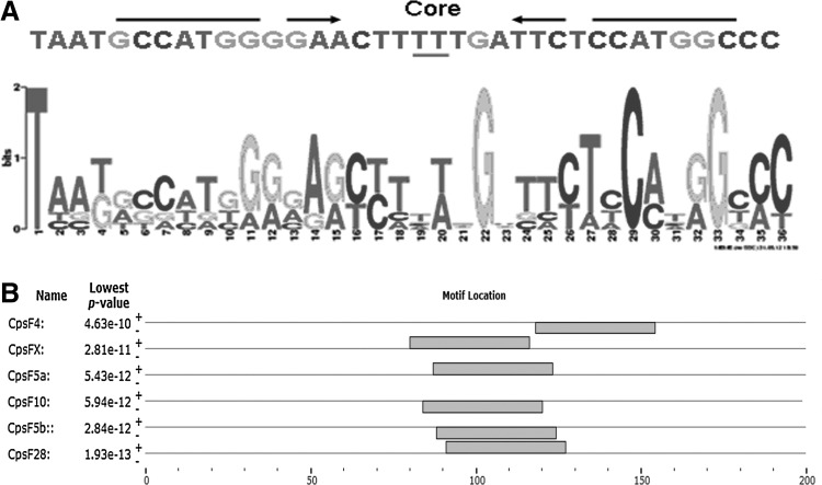 FIG. 4.