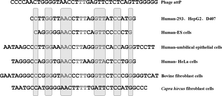 FIG. 5.