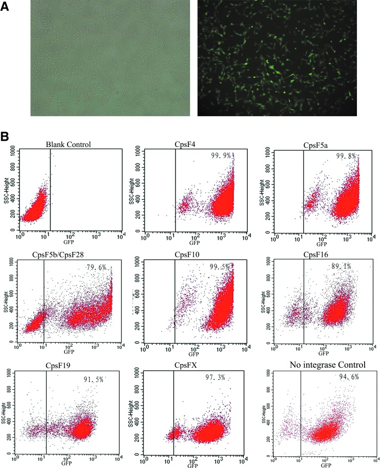 FIG. 3.