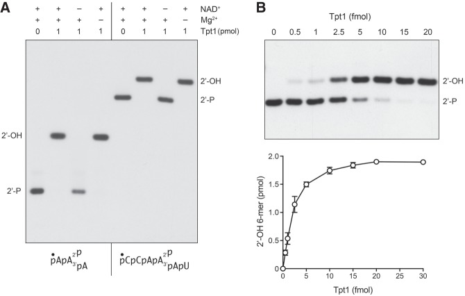 FIGURE 4.