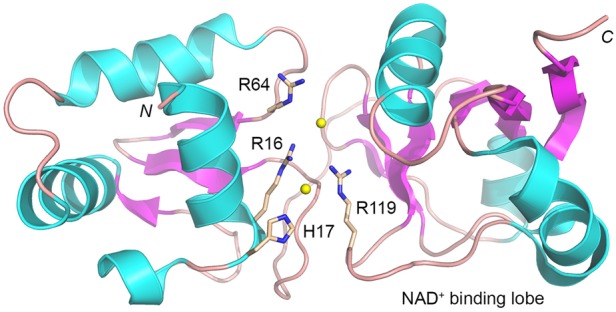 FIGURE 10.