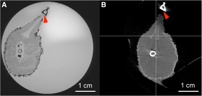 Fig. 5