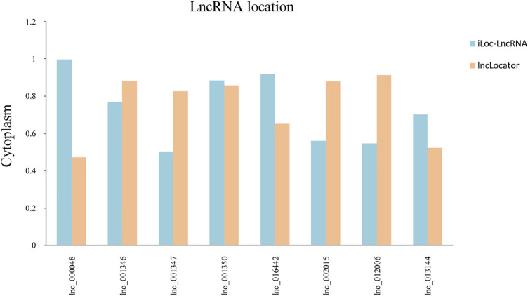 FIGURE 6