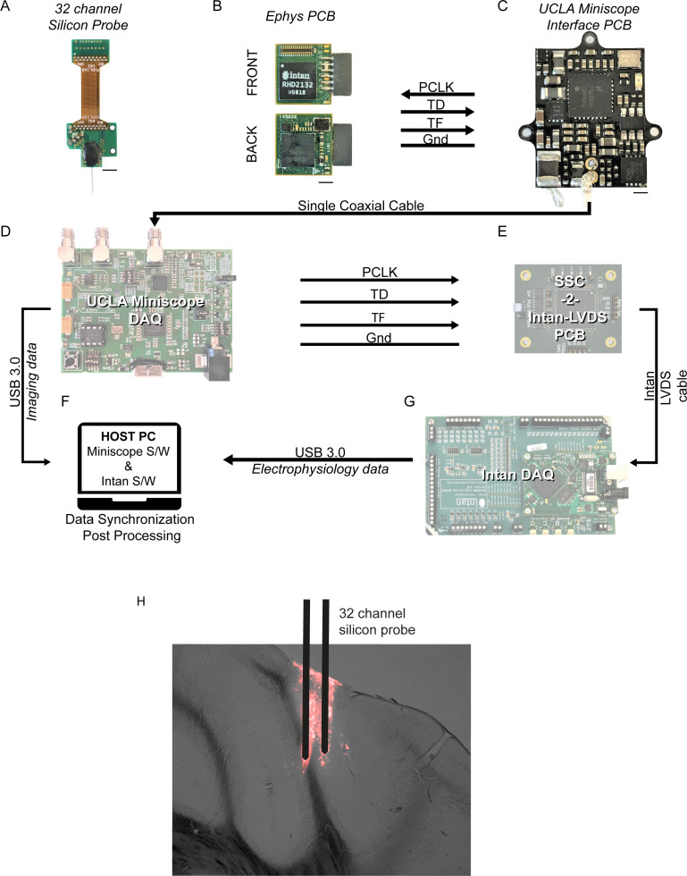 Figure 1—figure supplement 1.