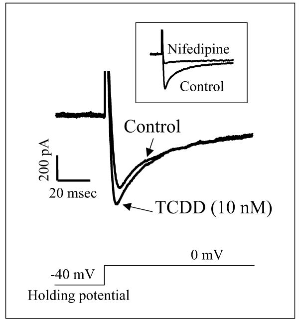 Figure 8