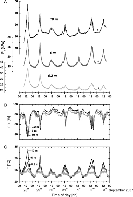 Fig. 3.