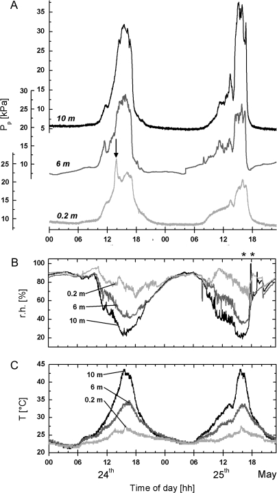 Fig. 2.