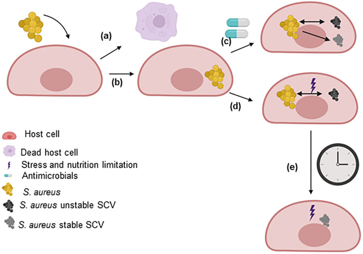 FIGURE 2