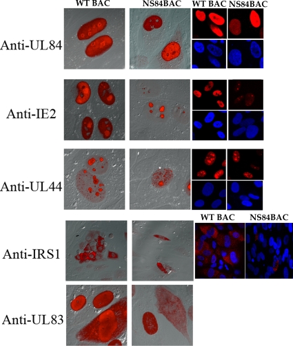 FIG. 6.