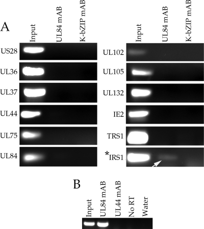 FIG. 8.