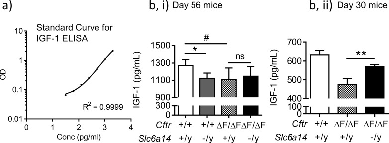 Figure 2—figure supplement 2.