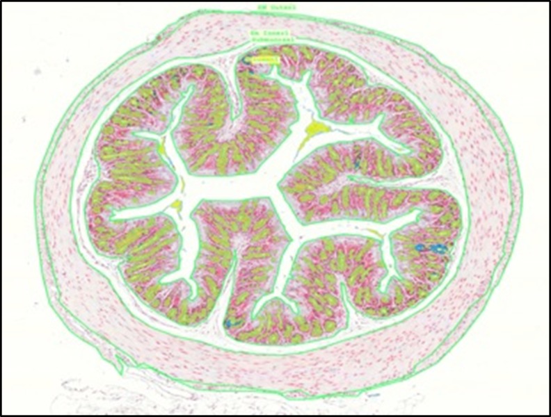 Figure 3—figure supplement 1.