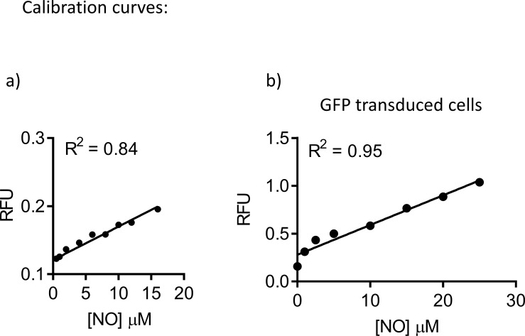 Figure 6—figure supplement 3.