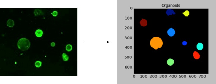 Figure 4—figure supplement 2.