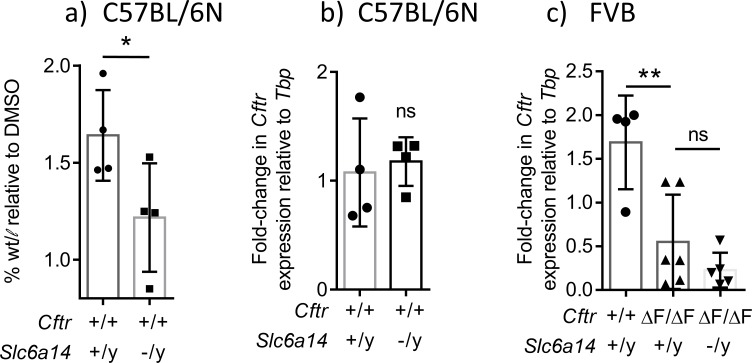 Figure 4—figure supplement 1.