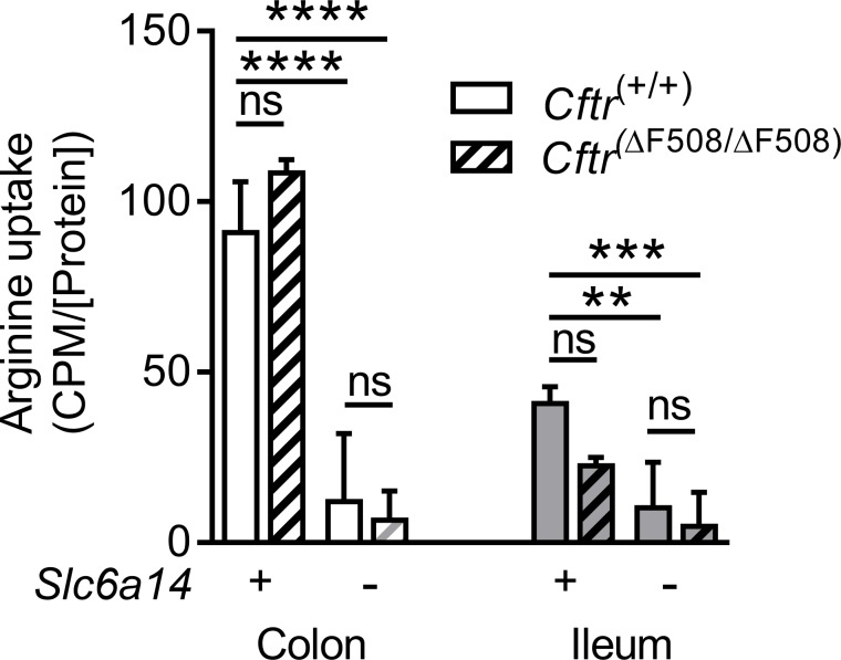 Figure 5—figure supplement 1.