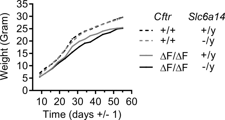 Figure 2—figure supplement 1.