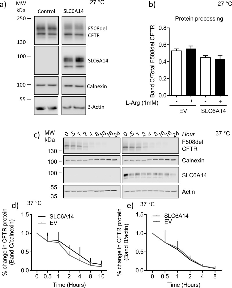 Figure 5—figure supplement 3.