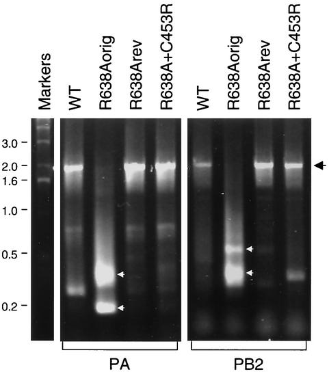 FIG. 4.