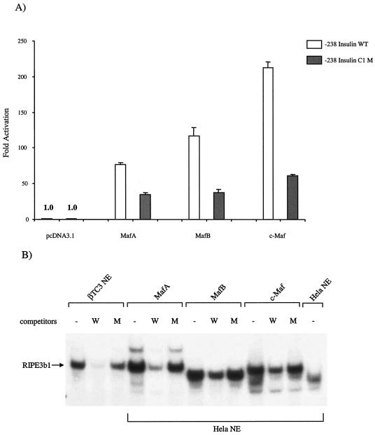 FIG. 8.