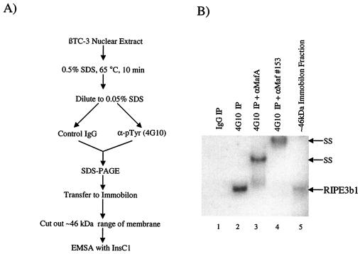 FIG. 5.