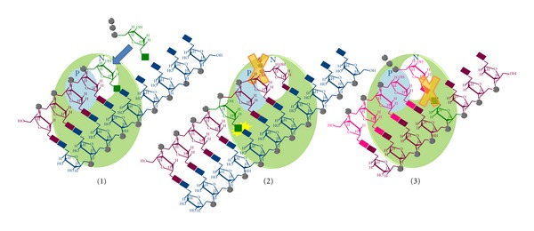 Figure 11