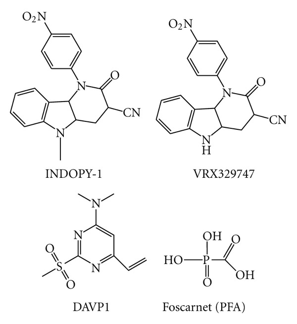 Figure 13