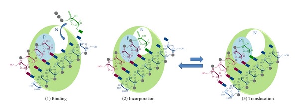 Figure 10