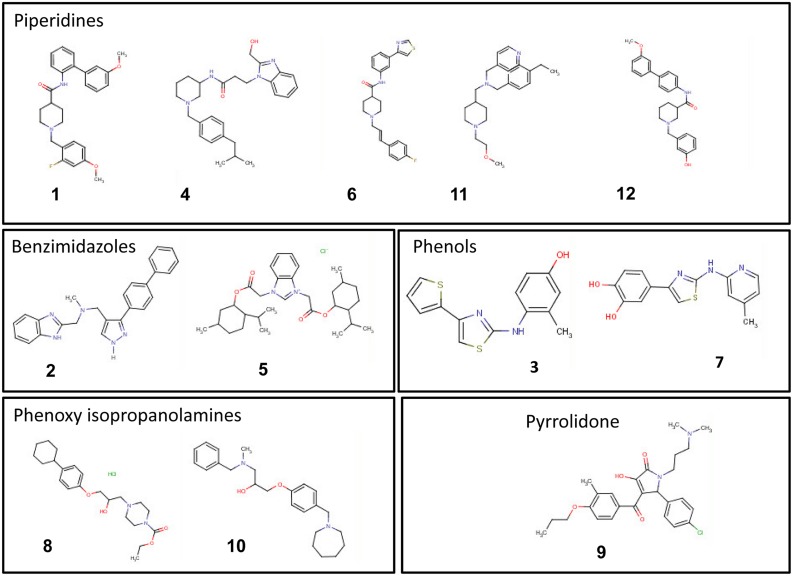 FIGURE 6