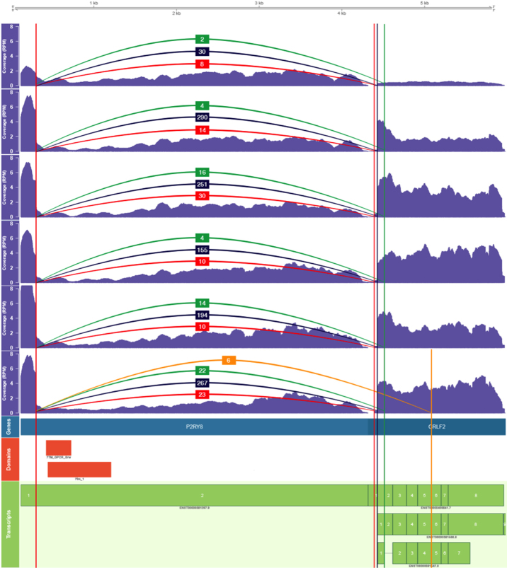 Figure 3.