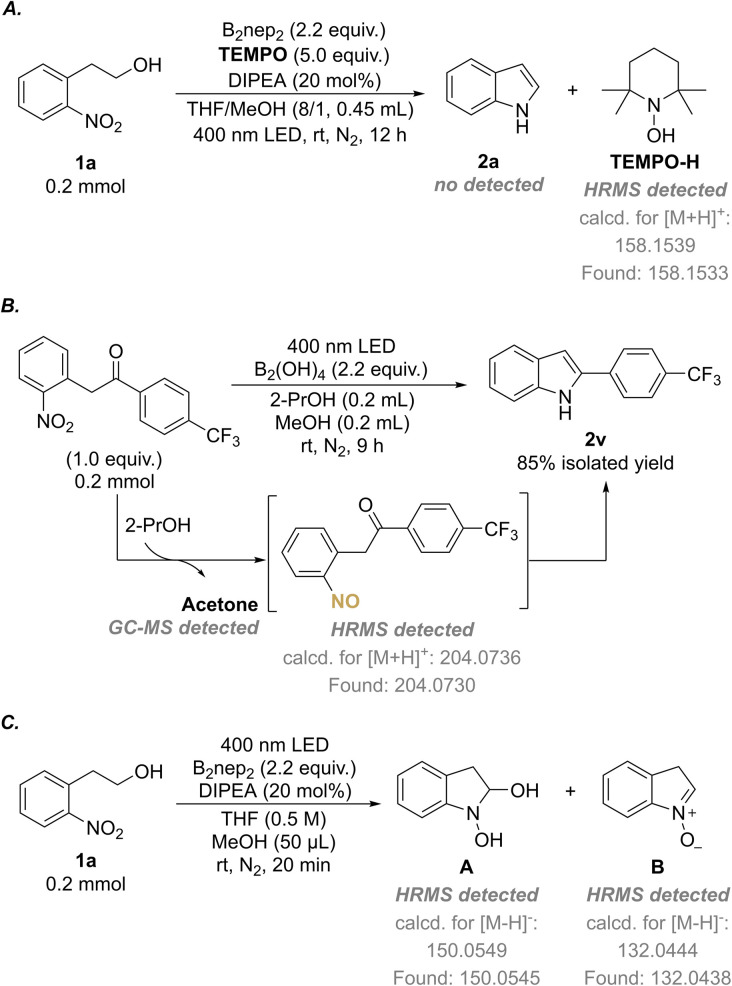 Scheme 5