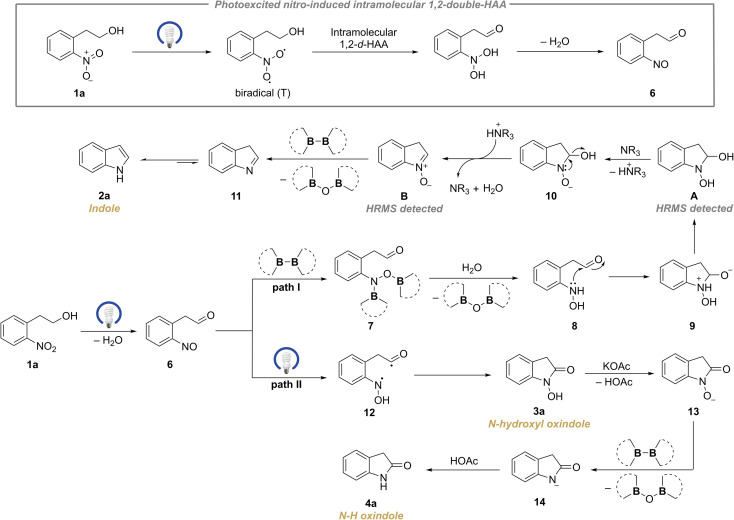 Scheme 7