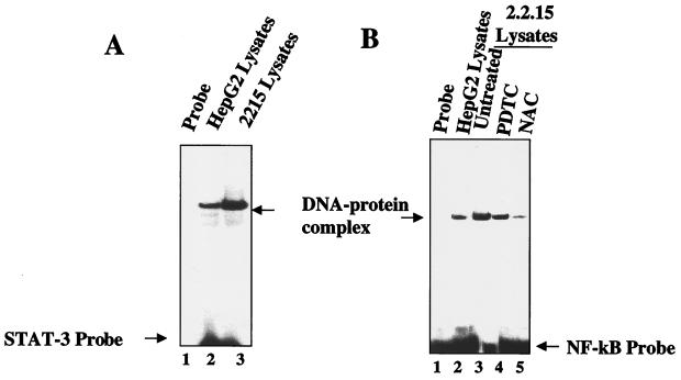 FIG. 8