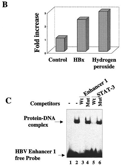 FIG. 6