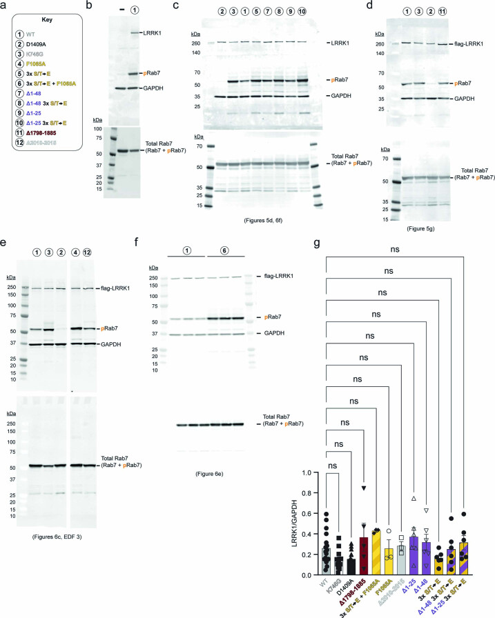 Extended Data Fig. 4