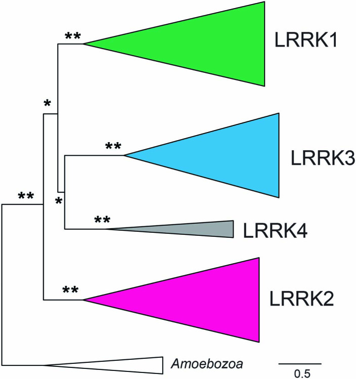 Extended Data Fig. 9