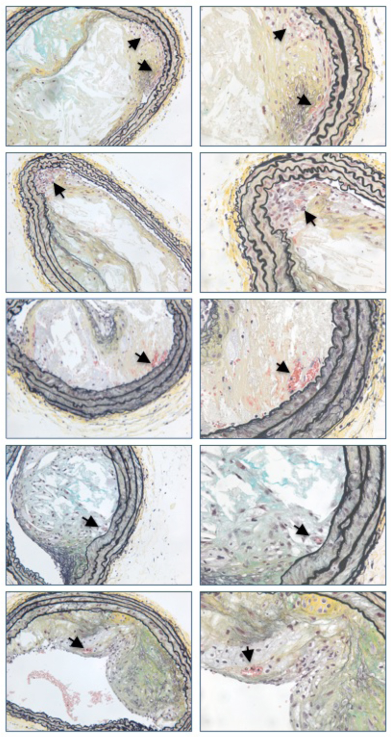 Fig. 6.