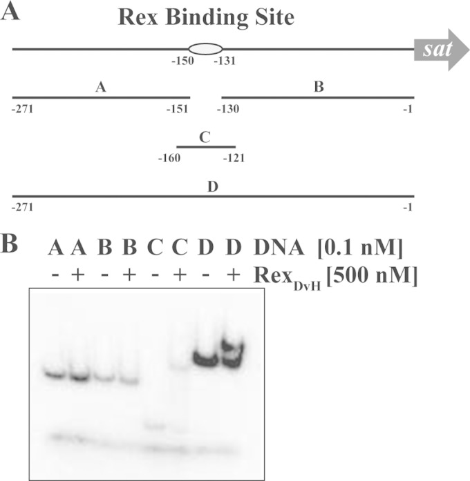 FIG 1